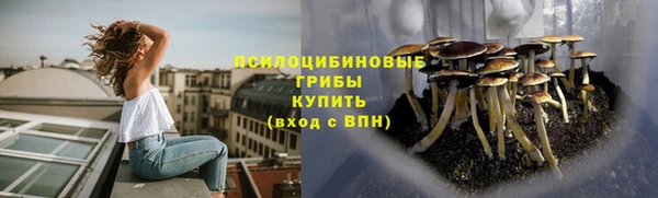 ешки Володарск