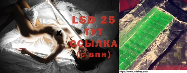 индика Кукмор
