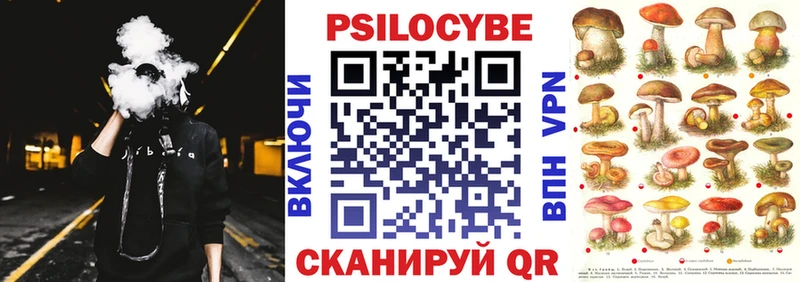 где купить наркоту  omg сайт  Галлюциногенные грибы мухоморы  Ивантеевка 